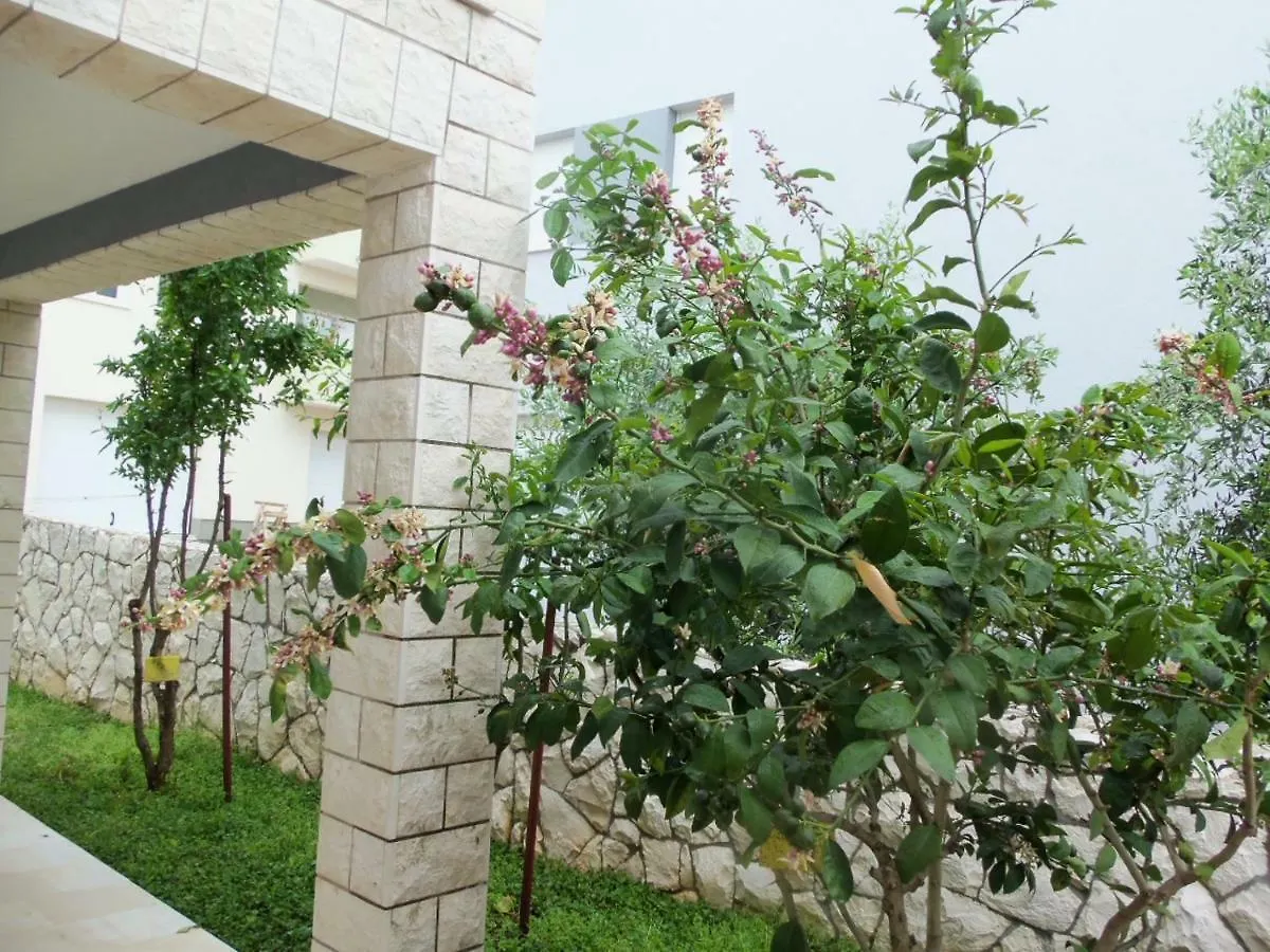 Apartment Elena تروغير